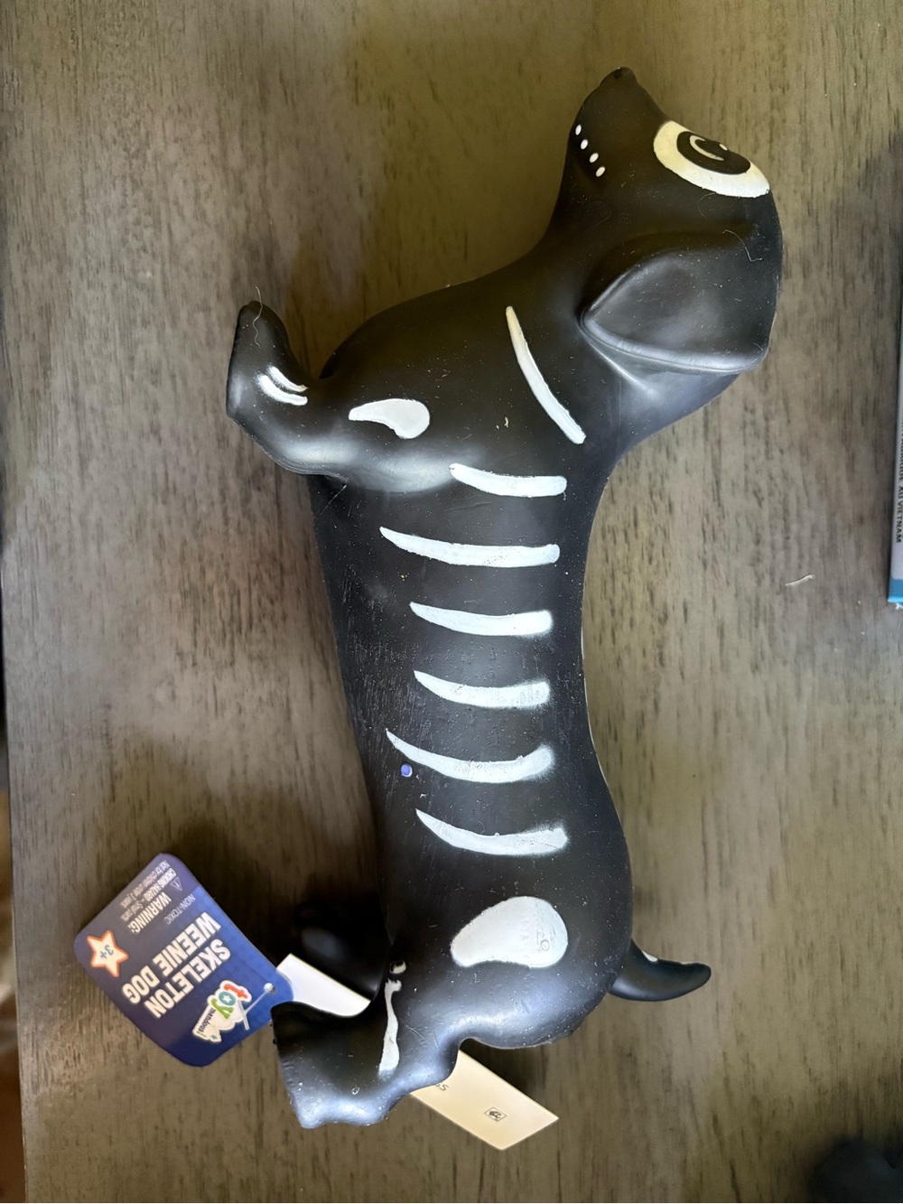 Squishy Weenie Dog - skeleton
